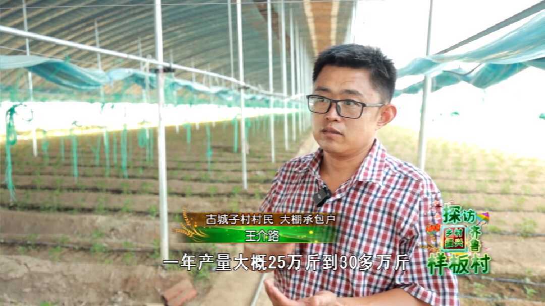 商河县孙集镇古城子村：“棚”勃大发展 古城新乡村
