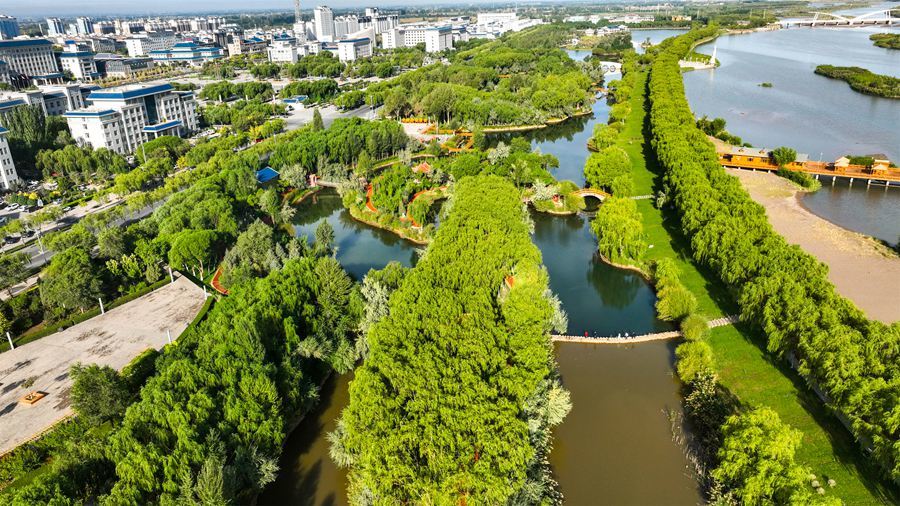 高台湿地公园图片