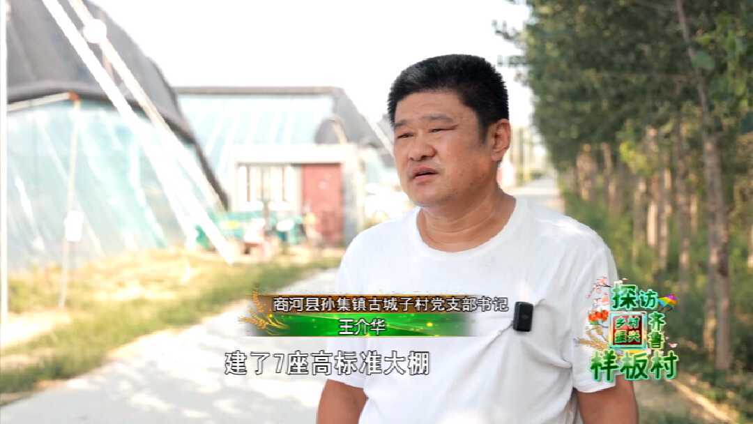 商河县孙集镇古城子村：“棚”勃大发展 古城新乡村