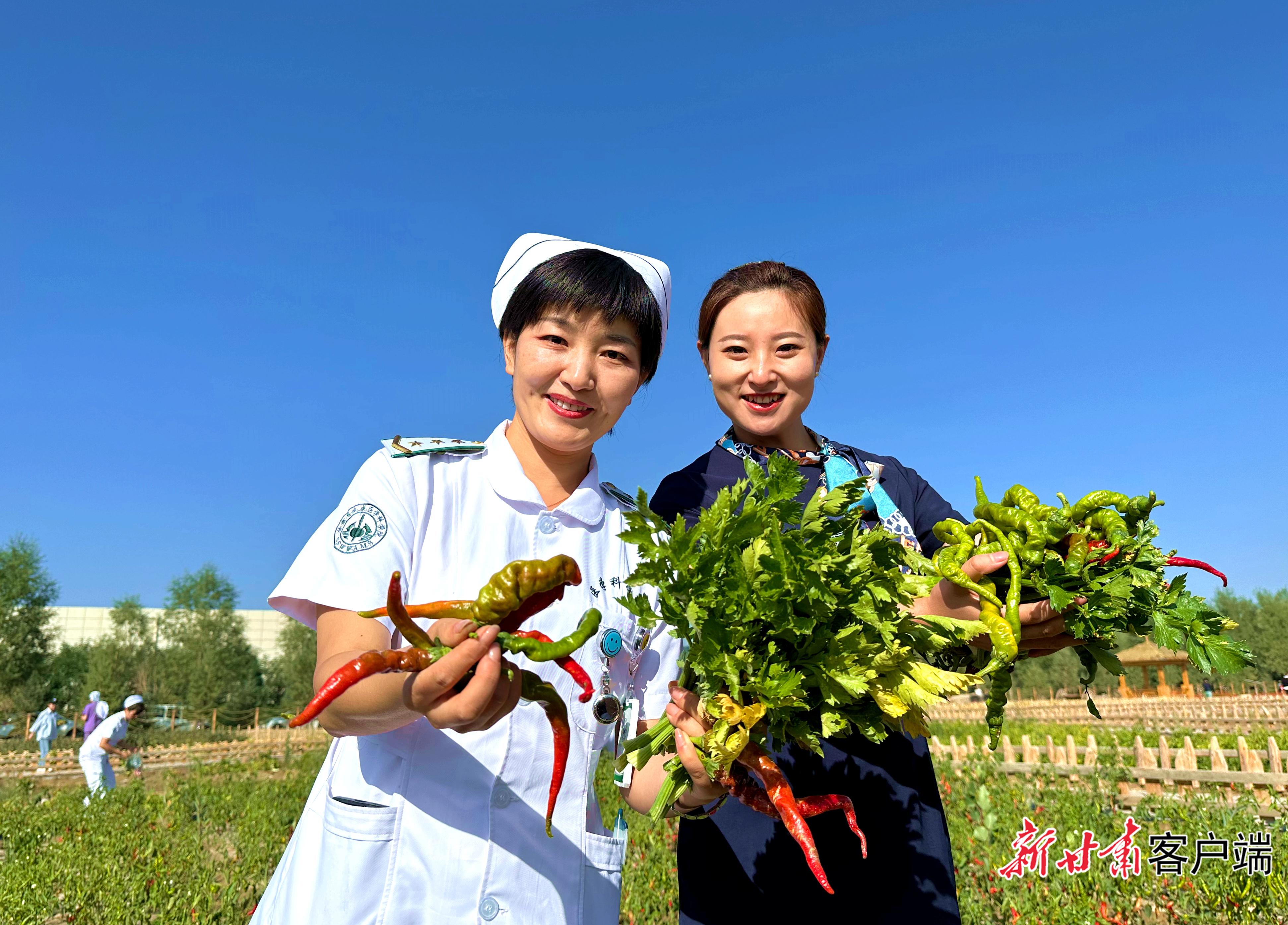 分享采摘快乐 新甘肃·甘肃日报记者 金奉乾 摄