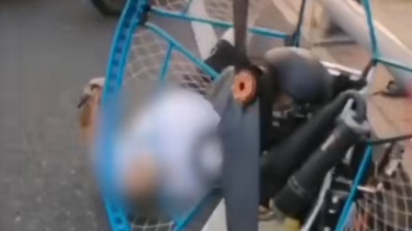 视频截图