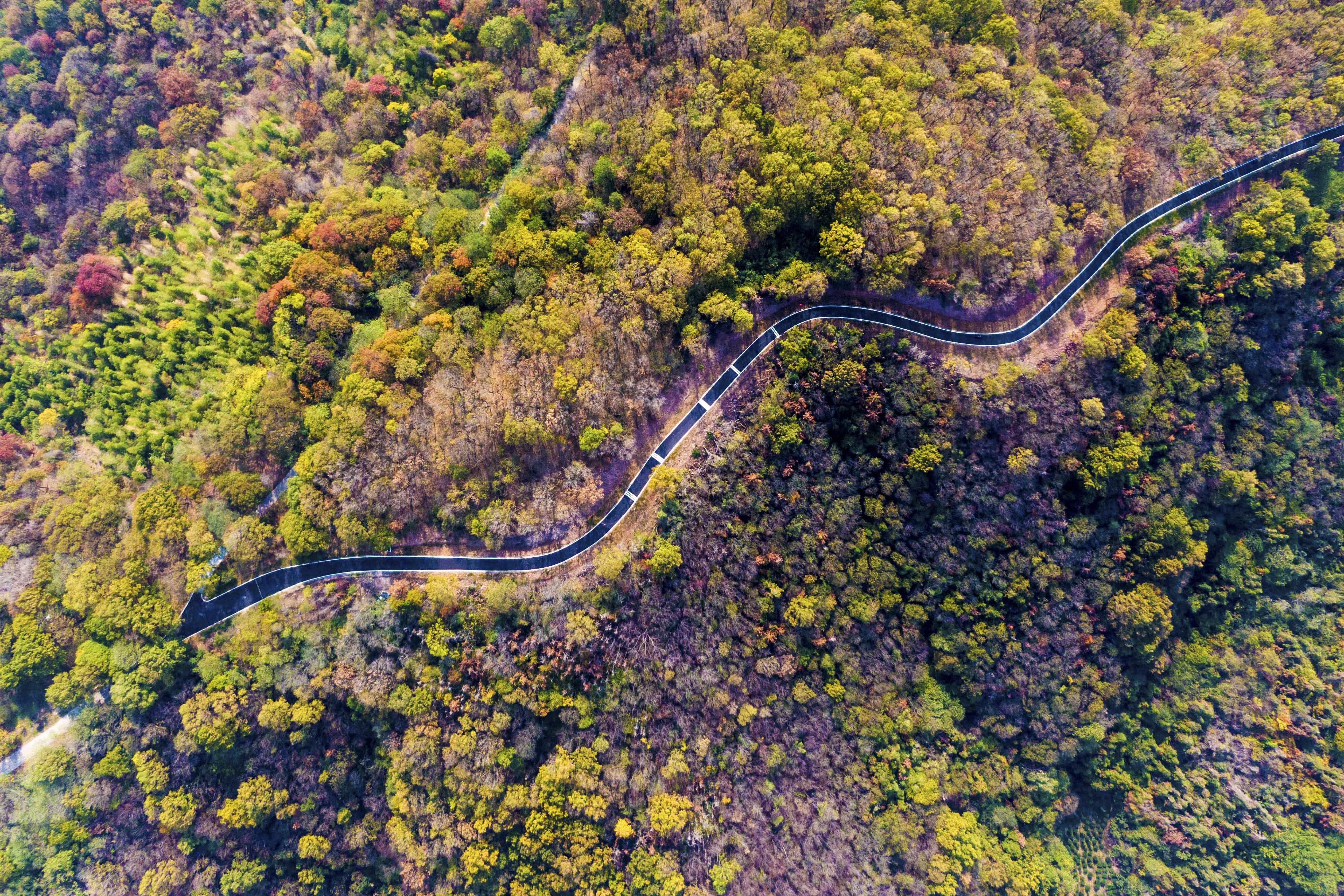 紫蓬山风景区图片