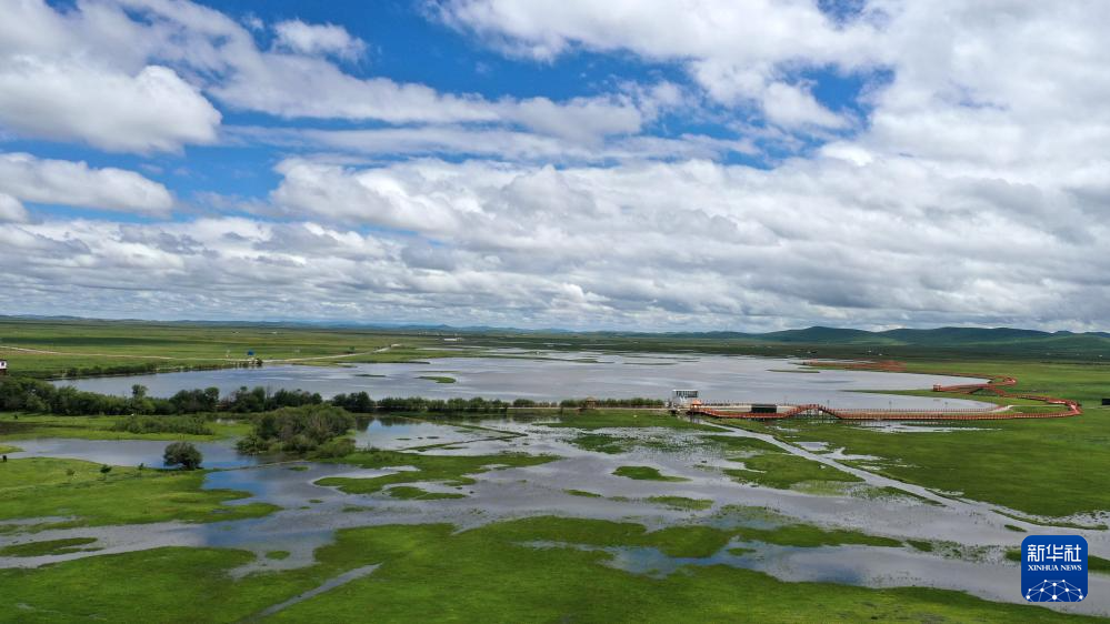 甘肃>资讯>凤观陇原>正文>这是玛曲县河曲马场的湿地草原景色(7月5日
