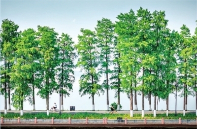 东湖漫游。