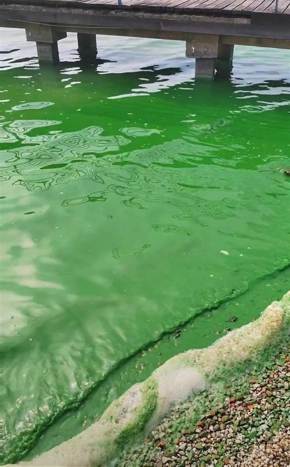 （视频截图）