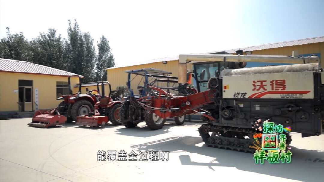 商河县孙集镇古城子村：“棚”勃大发展 古城新乡村