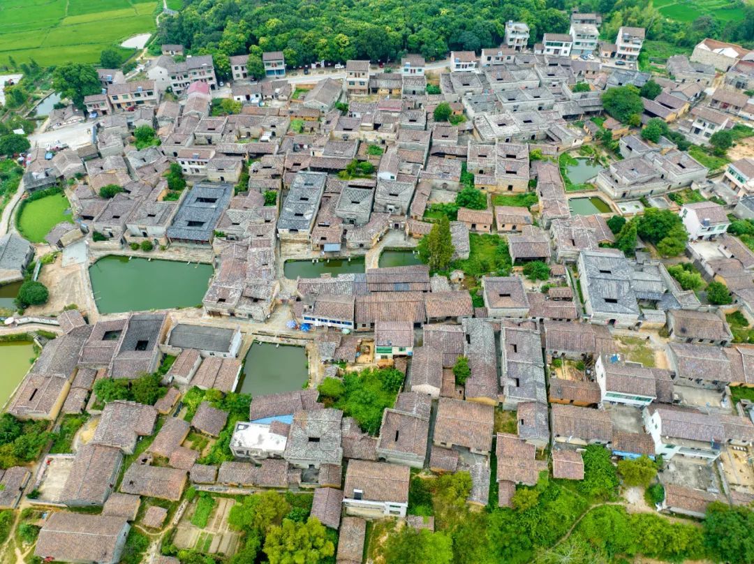 航拍抚州竹桥村古建成群绿树成荫