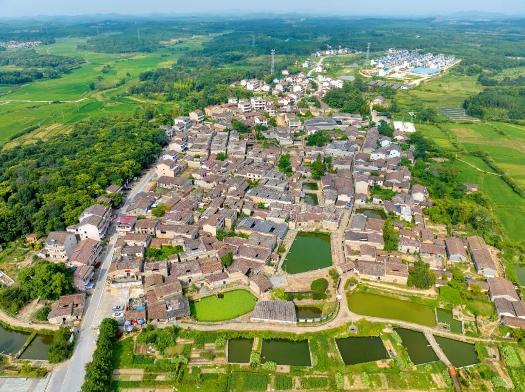 航拍抚州竹桥村古建成群绿树成荫