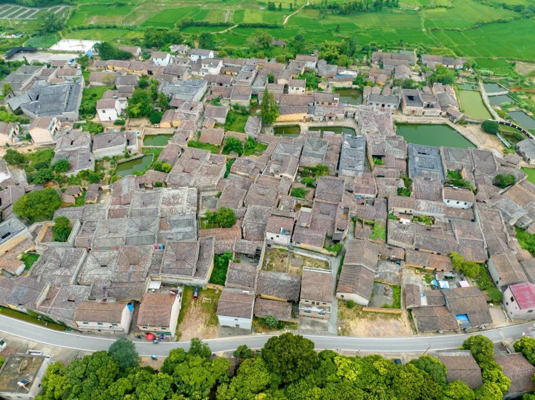 航拍抚州竹桥村古建成群绿树成荫