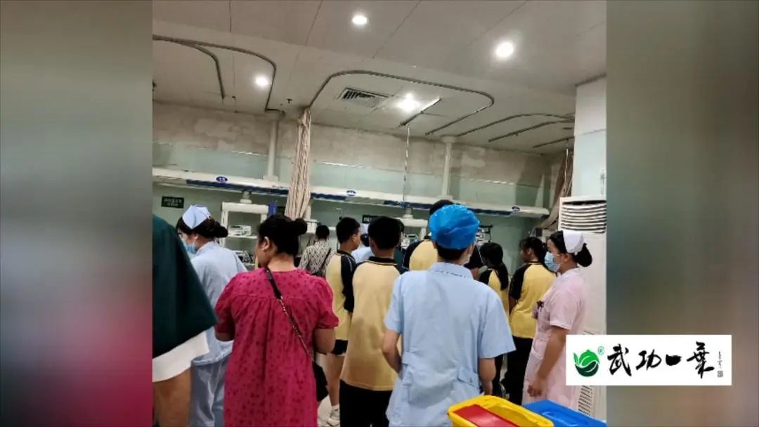 防吃“祸”！萍乡8名学生误食野果中毒