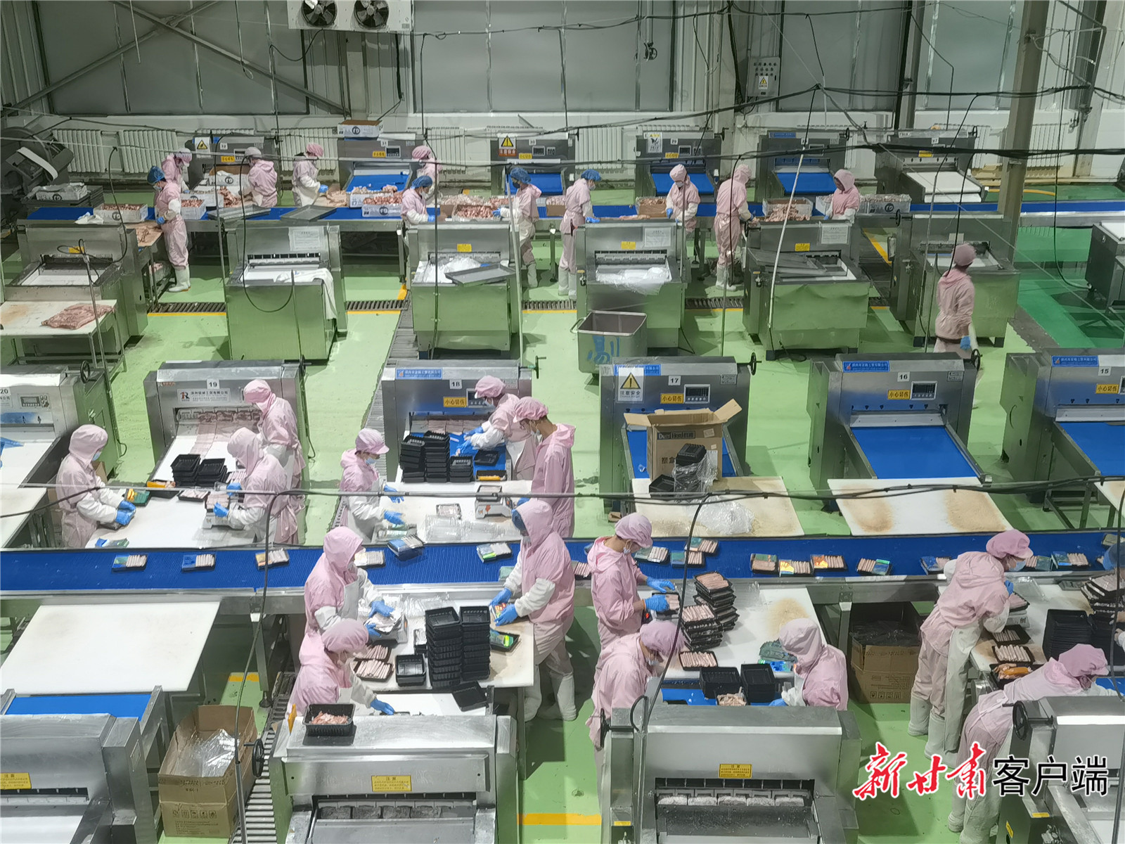 张掖祁连牧歌实业厂房内进行牛肉精细分割