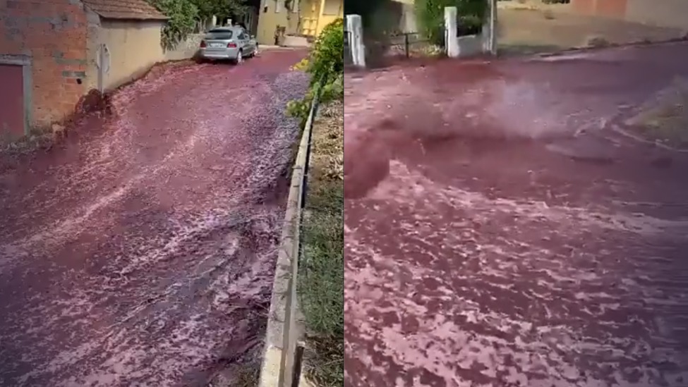 葡萄牙一家酿酒厂储酒罐意外倒塌，220万升红酒倾泻而出，形成一片红酒海