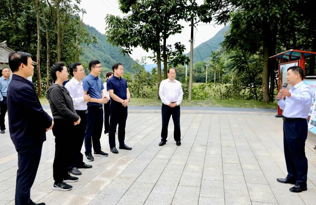 山阳县开展全县乡村振兴示范带建设观摩活动