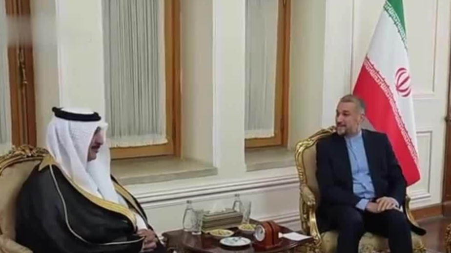 新任沙特驻伊朗大使递交国书