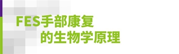 上肢怎么康复生物反馈疗法（EMG）如何运用到偏瘫患者的手功能康复？_https://www.jmylbn.com_新闻资讯_第6张