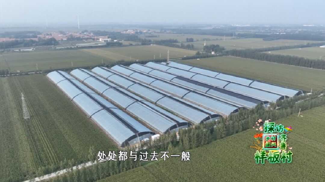 商河县孙集镇古城子村的智慧农业大棚