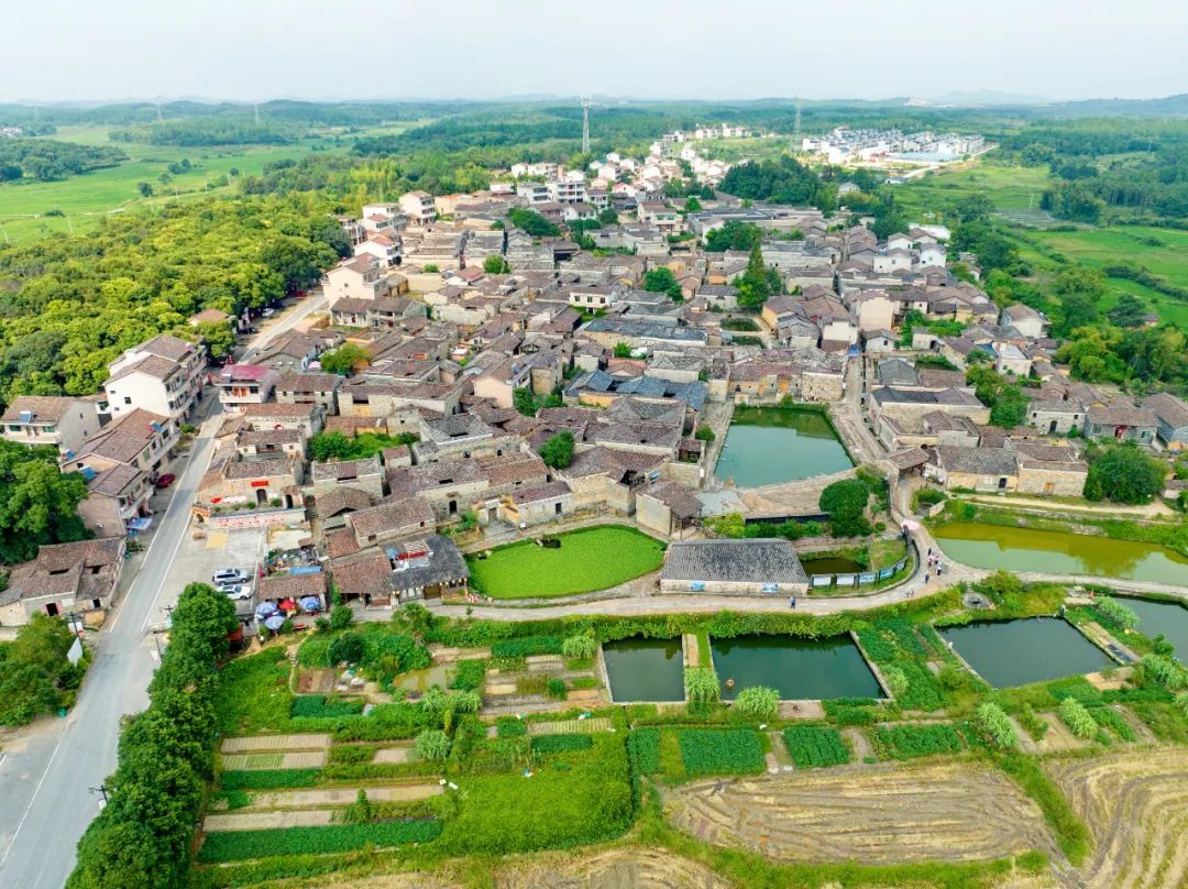 航拍抚州竹桥村古建成群绿树成荫