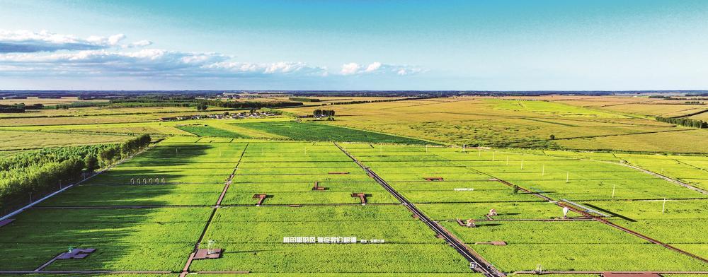 双辽市“秀水·乐稻小镇”。张树明 航拍