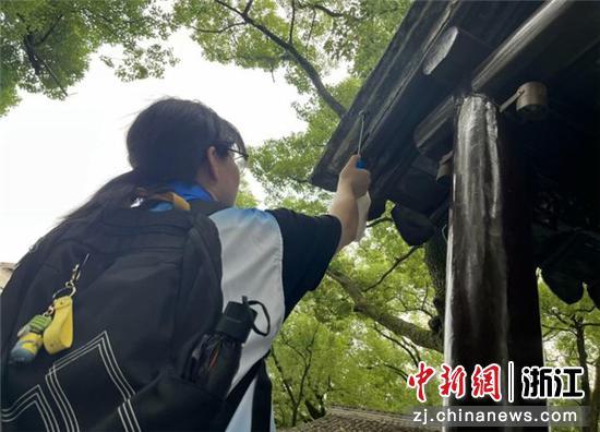 志愿者在宁波红色古道进行白蚁消杀。 石予白 摄