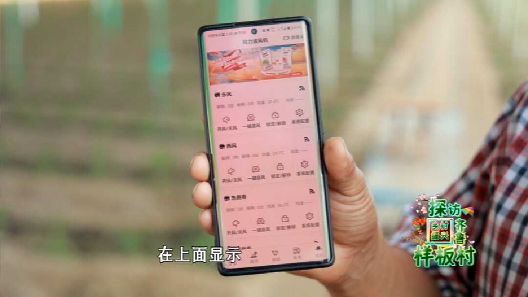 商河县孙集镇古城子村：“棚”勃大发展 古城新乡村