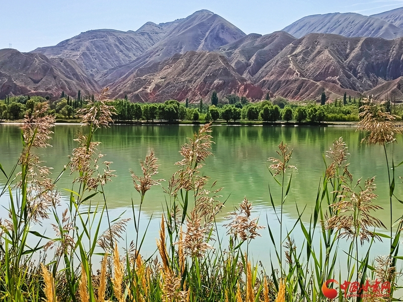 永靖蓝色黄河向西流风光旖旎惹人醉
