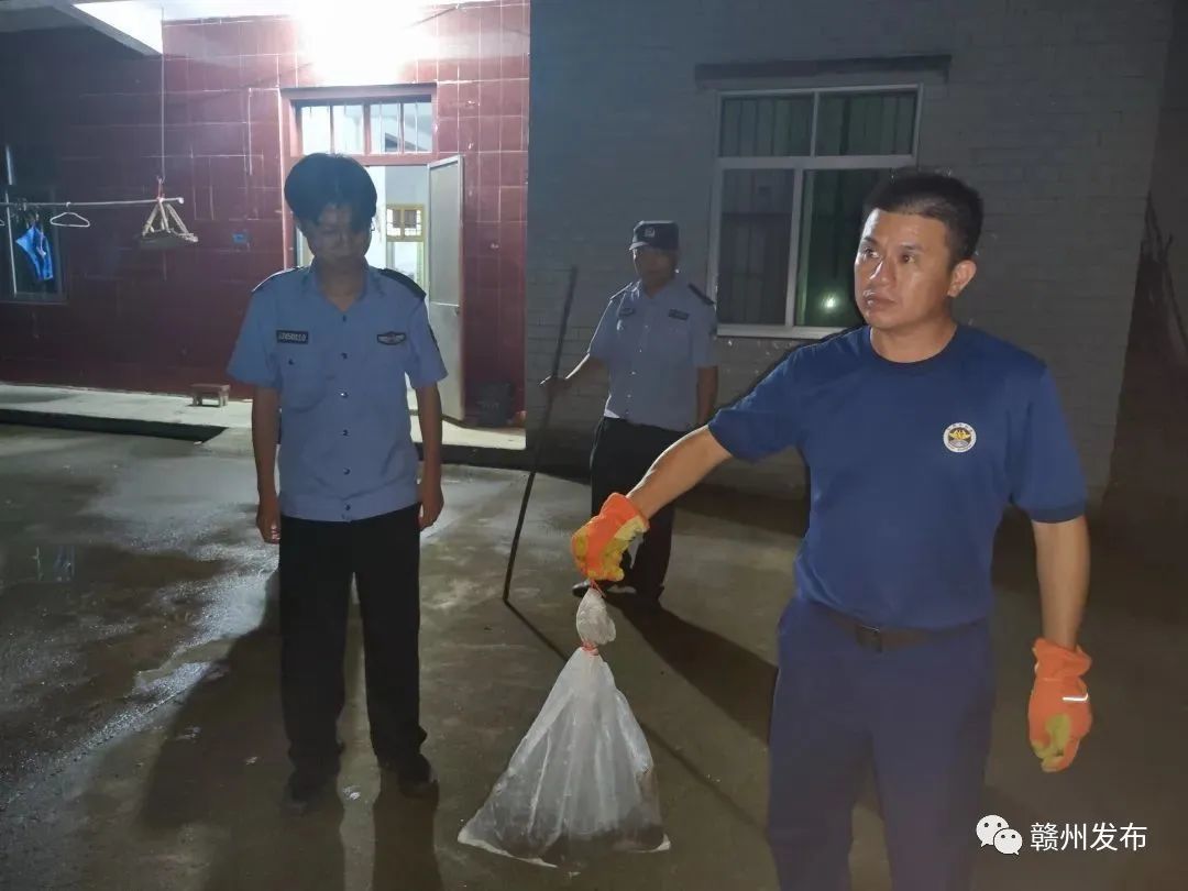 赣州御景江山小区有“蛇出没” 还有毒蛇窝 居民提心吊胆