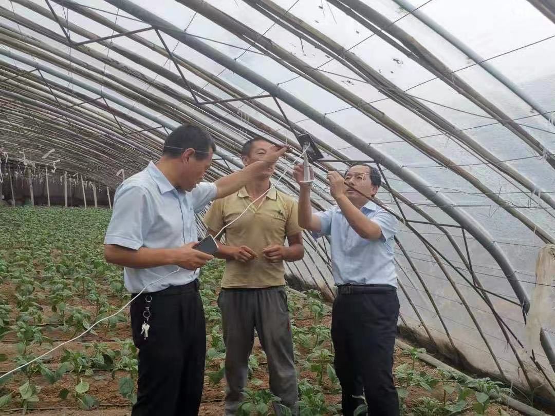 建行新金融助力菜农增收的平原样本