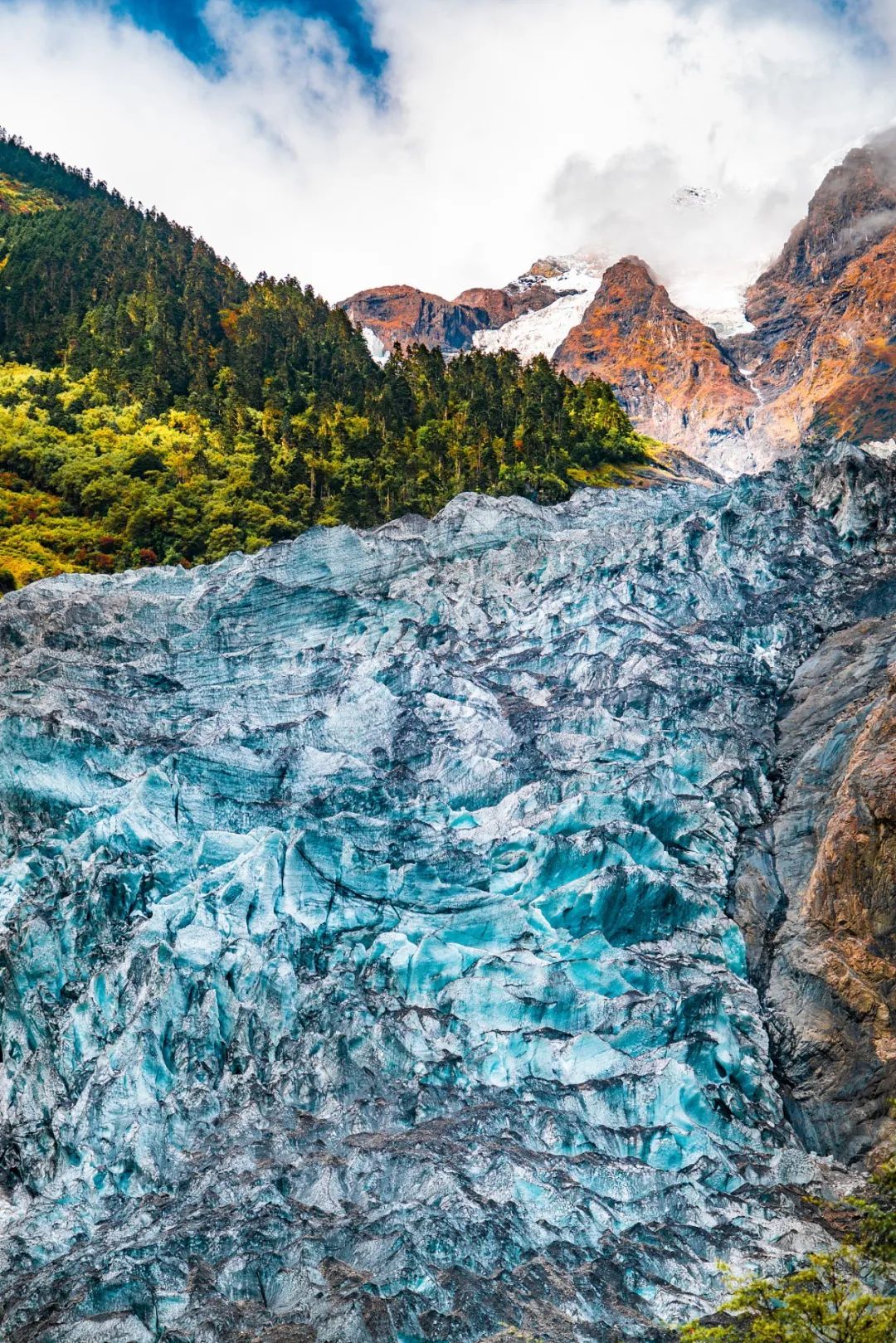 秋季云南梅里雪山明永冰川与森林