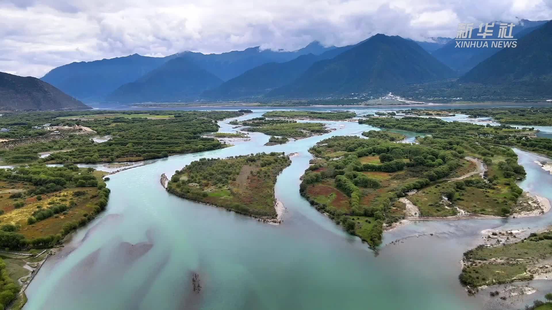 雅尼湿地水清岸绿