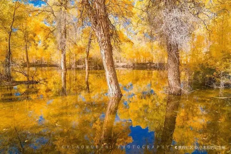 图/携程社区@小木板的纪念册