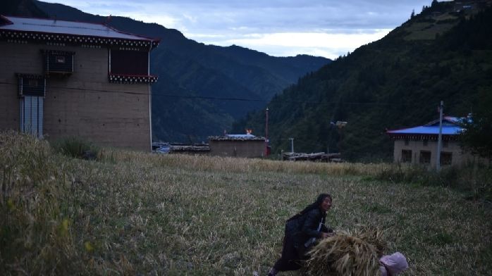 探讨高原主场百事中心的魔鬼优势