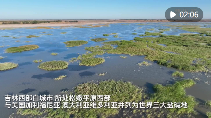 高质量发展吉林行 | 盐碱滩变粮仓——水资源盘活吉林西部“绿色奇迹”