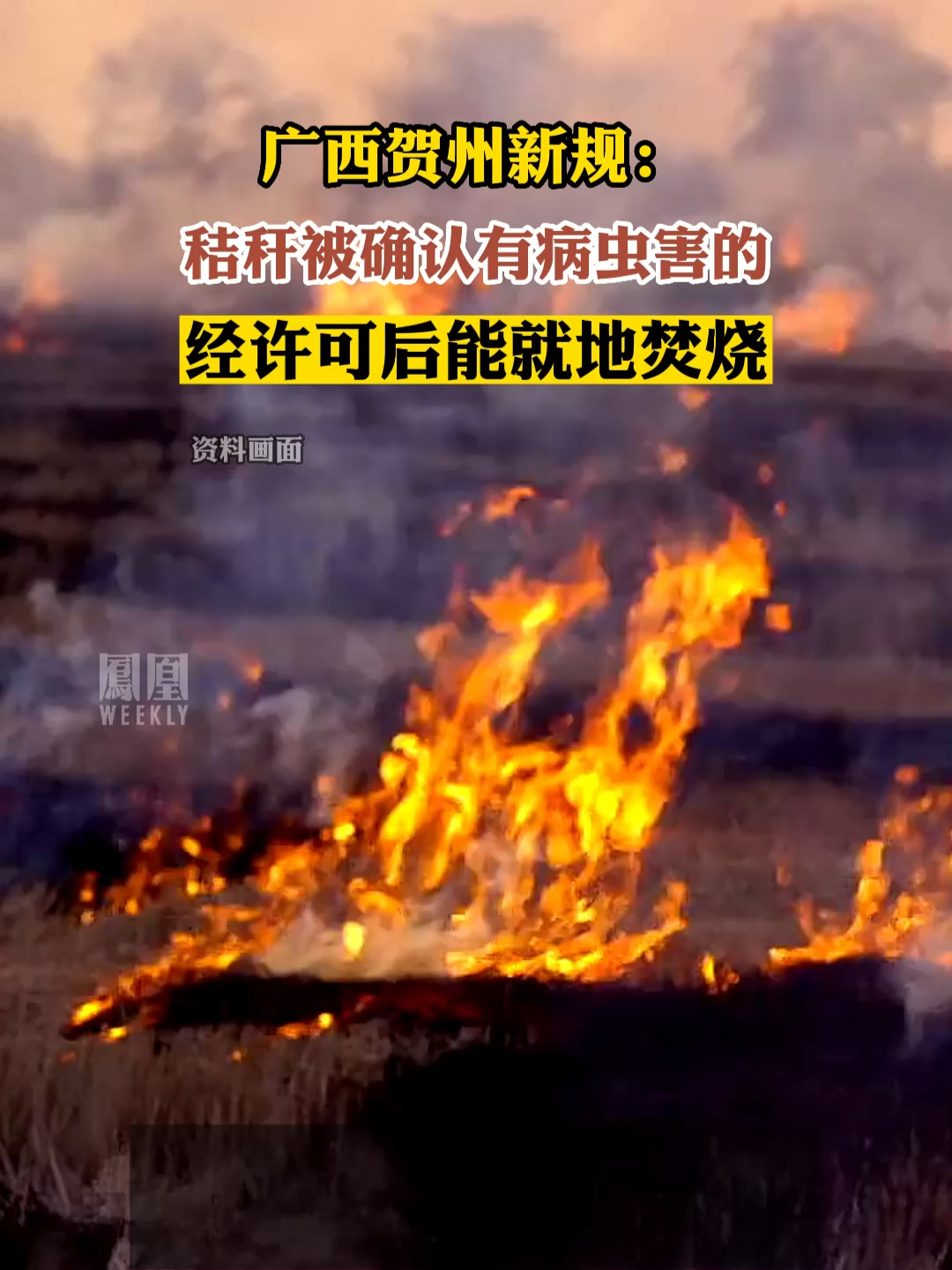 广西贺州新规：秸秆被确认有病虫害的，经许可后能就地焚烧