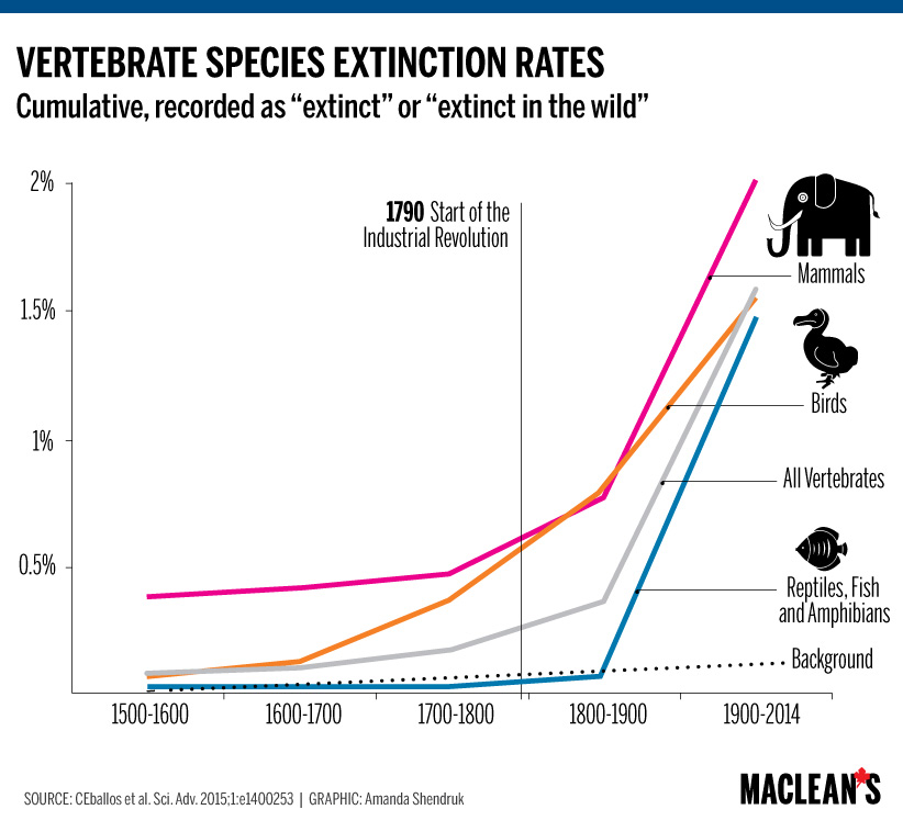 ▎近五百年来物种灭绝速度显著加快