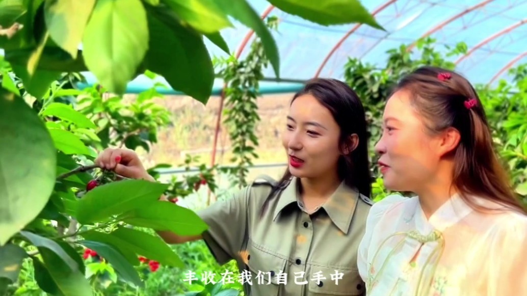 “粮”辰美景看肃州：田间地头一幅幅丰收图徐徐展开