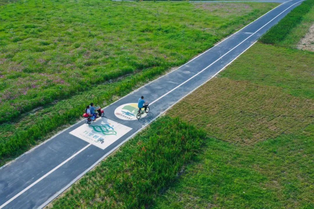 △用车轮漫游城市(图/南海发布)