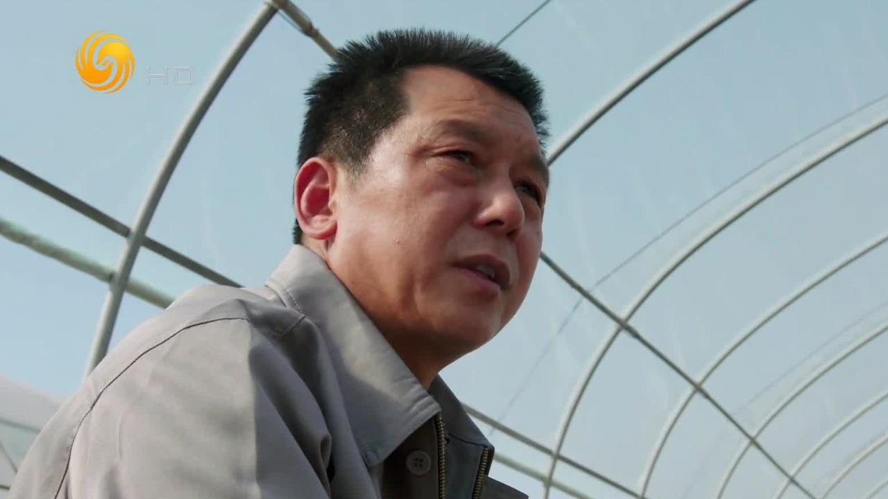 宁夏珍珠米，相传在清代被列为宫廷贡米，进入皇室贵族的生活