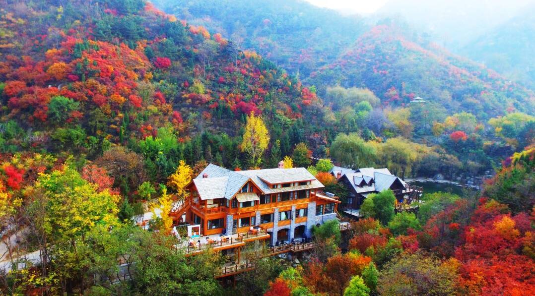 在山东乡间民宿让开云体育 开云官网你住进风景里