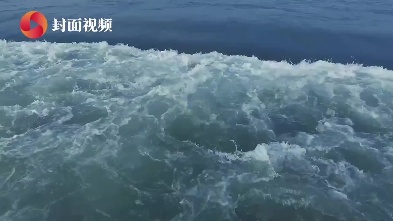航拍长江碧水，泸州在行动！｜川流中国·上游行