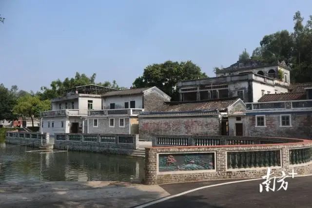 经过一番改造 如今的神步村屋舍俨然、水清叶茂