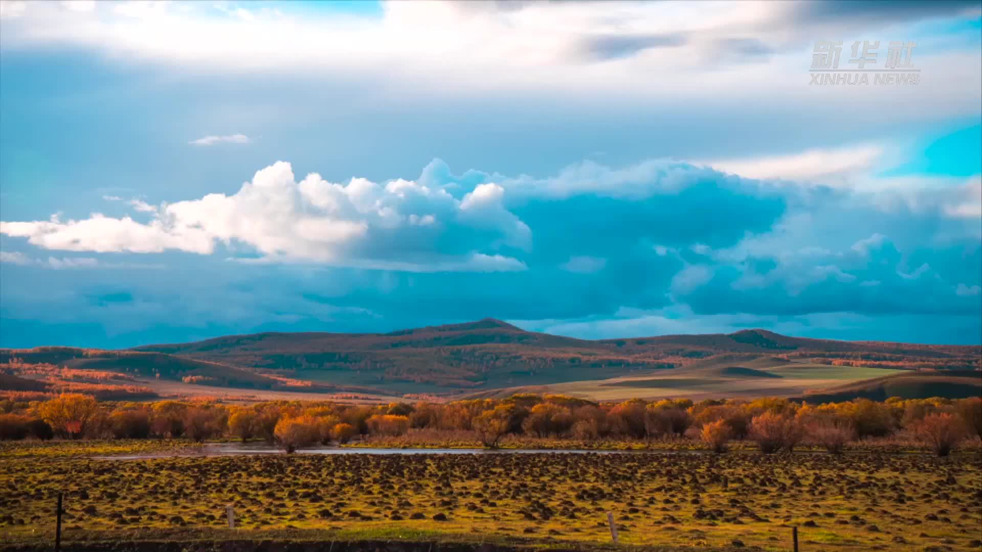 千城胜景｜呼伦贝尔的秋——极致浪漫的童话