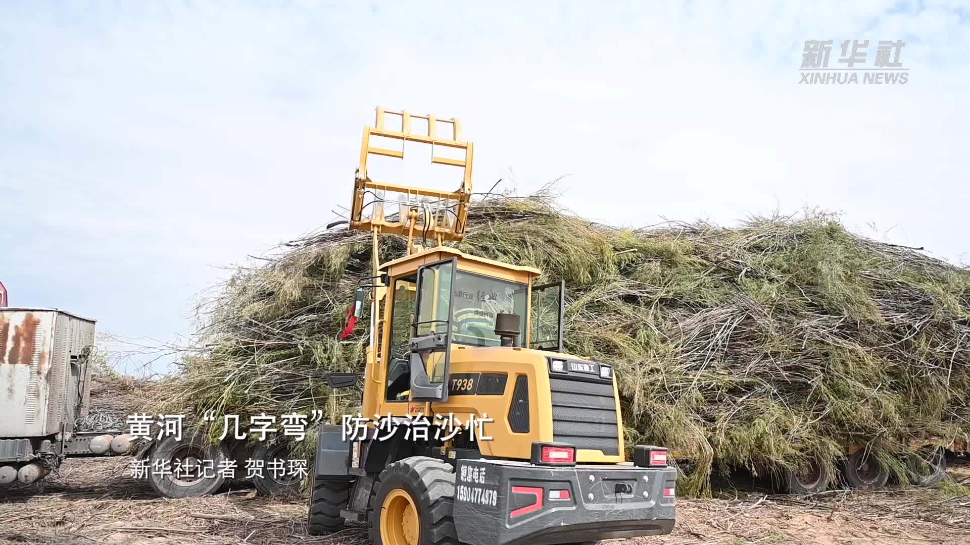 黄河“几字弯”防沙治沙忙