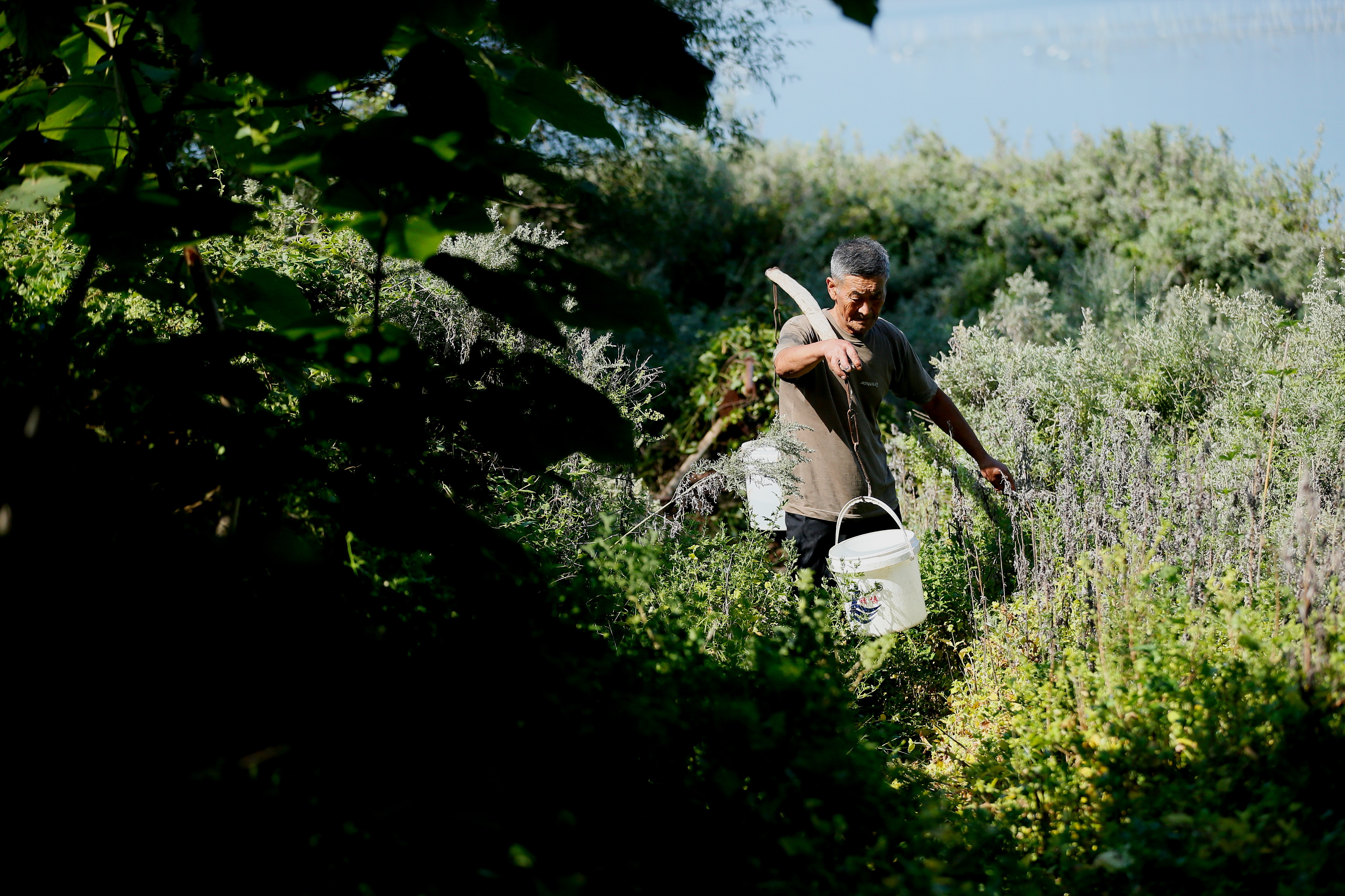 青岛即墨老人王加辉：守岛五十年 奉献一生情