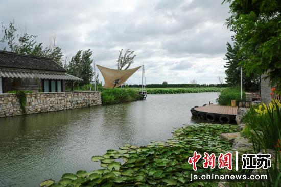 江苏阜宁:打造“诗画田园” 绘就和美乡村凤凰网江苏_凤凰网
