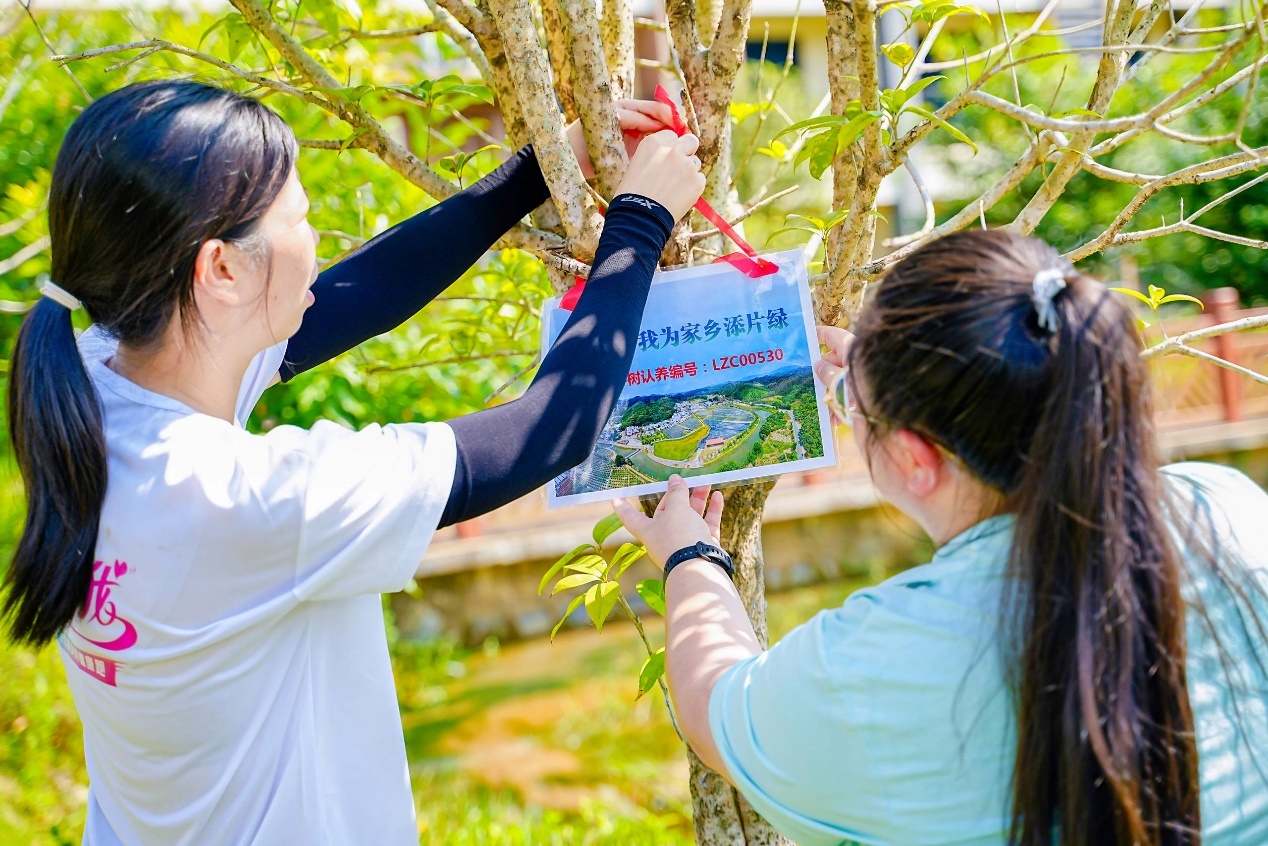 连樟村村民为自己认养的亲情树挂牌