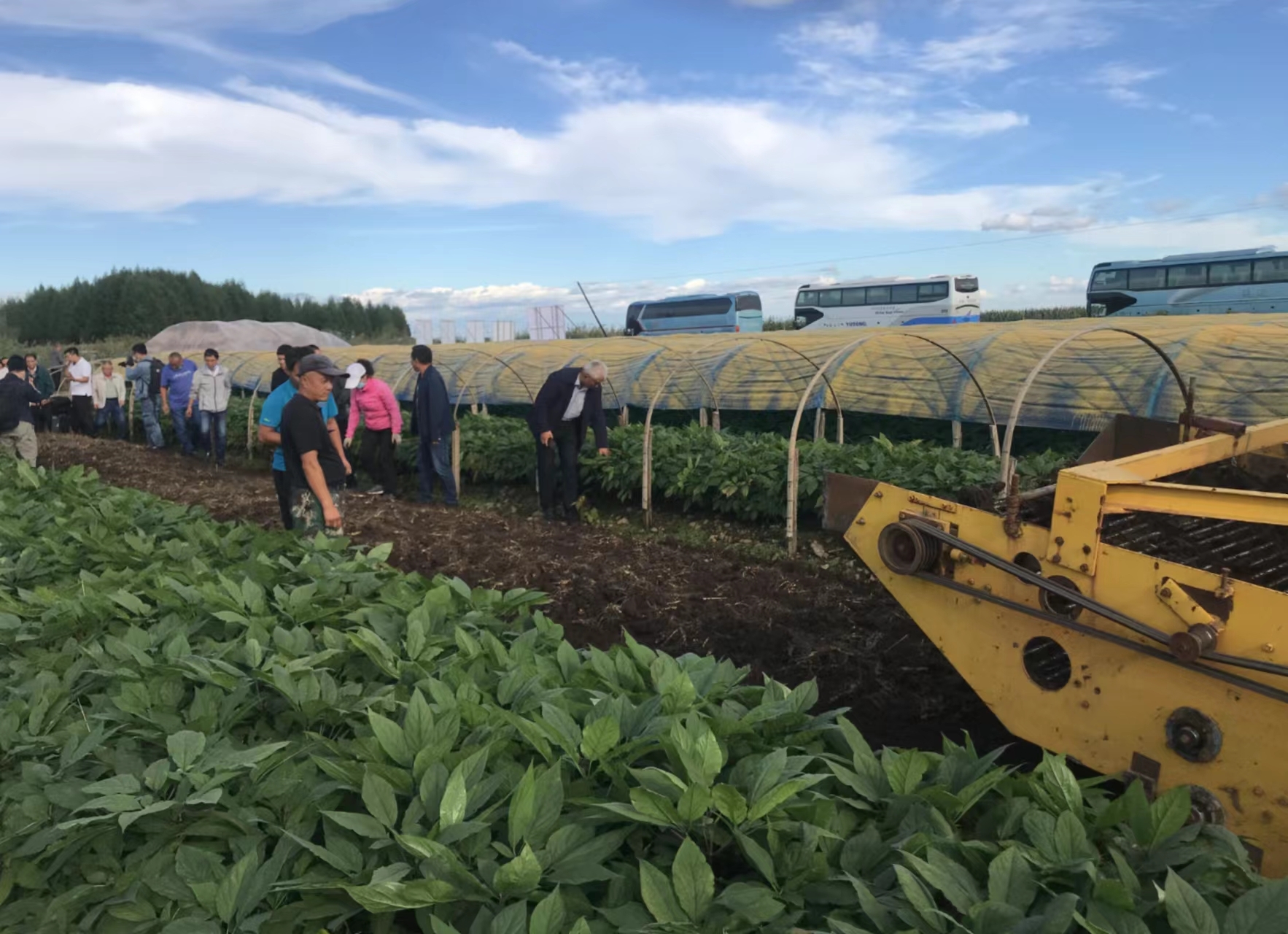 “吉林长白山人参栽培系统”获批为中国重要农业文化遗产