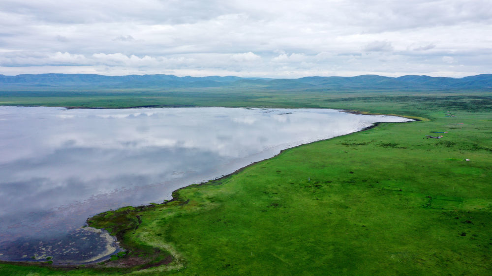 这是甘肃尕海则岔国家级自然保护区尕海湖的景色　新华社记者　张可任　摄
