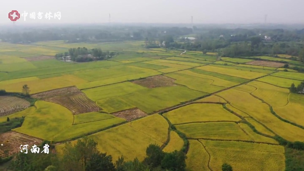 稻花香里说丰年丨微视频：大粮仓 好“丰”景