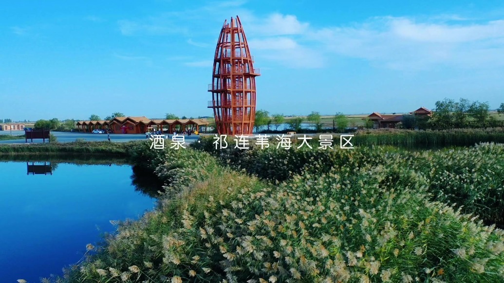 秋日祁连苇海“游”点好玩　就等你来打卡啦