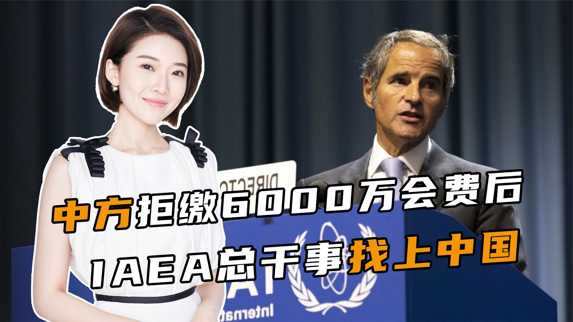陷入停摆危机后，IAEA找上中国，做出两大承诺，日本再次寻求对话